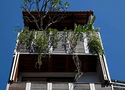 Báo Mỹ hết lời ca ngợi nhà phố 'phong cách nghỉ dưỡng' giữa Sài thành