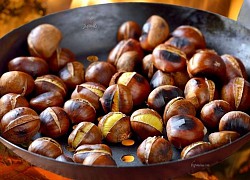 Bỏ túi cách bảo quản hạt dẻ đã rang, hạt dẻ tươi đúng cách, để được lâu