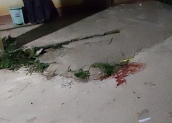 Đồng Tháp: Bắt nghi phạm 15 tuổi trộm tài sản đâm chủ nhà tử vong