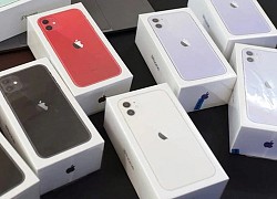 Giá iPhone 11 giảm mạnh, về mức thấp nhất từ trước đến nay