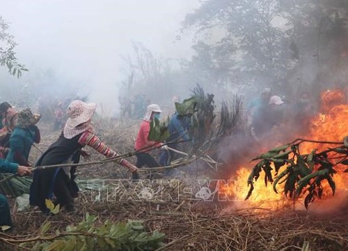 Lai Châu: Huy động hơn 300 người tập trung chữa cháy rừng ở xã Mường Kim