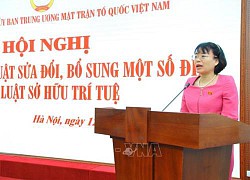 Nâng cao hiệu lực, hiệu quả quản lý nhà nước về sở hữu trí tuệ