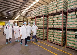 Tân Đại sứ Hoa Kỳ tại Việt Nam thăm nhà máy sữa Vinamilk tại Cần Thơ