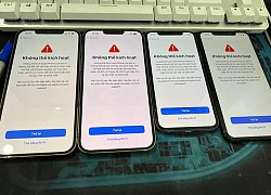 Apple lỗi máy chủ, hàng loạt iPhone ở Việt Nam hóa 'cục gạch'