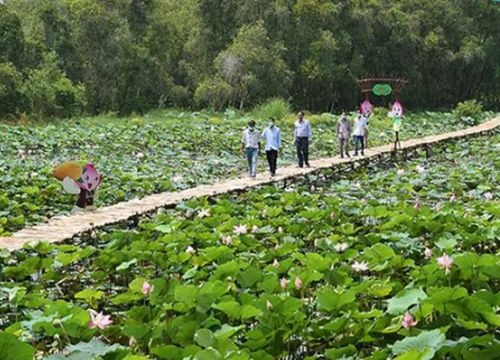 Để du lịch 'Đất chín rồng' cất cánh