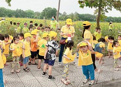 Điểm du lịch sinh thái Trường Đại học Nông - Lâm Bắc Giang miễn phí, thu hút giới trẻ