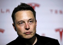 Elon Musk bị các cổ đông cũ của Twitter kiện