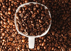 Giá cà phê hôm nay 14/4: Giá arabica lao dốc mạnh, áp lực tồn kho; nông dân Brazil mạnh tay bán đuổi