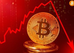 Giá Bitcoin hôm nay 15/4: Bitcoin sụp đổ, thị trường bão lửa