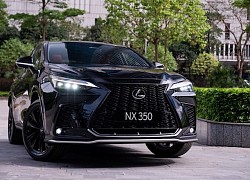 Lexus NX 350 F SPORT &#8211; nét cá tính thể thao độc đáo của người Nhật