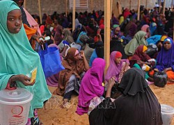 Liên hợp quốc kêu gọi nguồn lực tài chính cứu đói cho Somalia và Nam Sudan