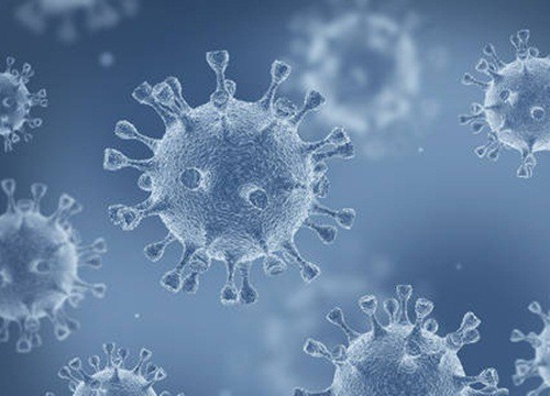 Phát hiện 5.500 loài virus mới trong đại dương