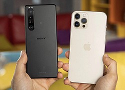 Sony bất ngờ giảm giá "sốc" Xperia 1 III và Xperia Pro-I tại Việt Nam