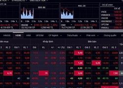 Áp lực bán gia tăng, chỉ số VN-Index giảm hơn 10 điểm