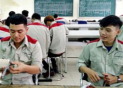 Cơ sở giáo dục nghề nghiệp phải cập nhật văn bằng lên Trang thông tin tra cứu