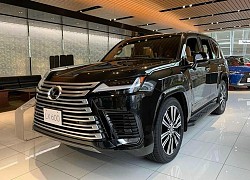 "Chuyên cơ mặt đất" Lexus LX600 chính hãng về Việt Nam, từ 7,89 tỷ?