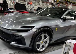 Ferrari Purosangue sẽ là 'xe giới hạn' với sản lượng như xe thể thao thường thấy