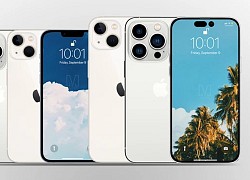 iPhone 14 bất ngờ lộ giá bán, phiên bản Pro Max gây ngỡ ngàng