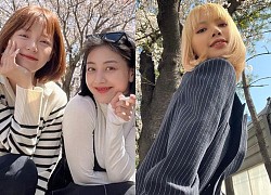 Mùa hoa đào nở, dàn sao Hàn thi nhau check-in: Lisa và em út SNSD bùng nổ visual, nữ chính A Business Proposal và TWICE rủ nhau hẹn hò