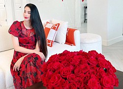 Phạm Hương ẩn ý chuyện về Việt Nam làm khách mời Miss Universe?