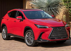 Triệu hồi Lexus NX 2022