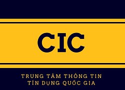 Cảnh báo mạo danh CIC để lừa đảo