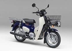 Honda Super Cub 110 Pro đời 2022 ra mắt tại Nhật Bản