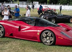 Khám phá Ferrari hiếm nhất thế giới