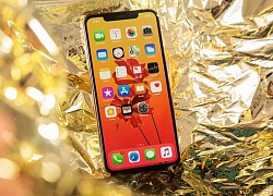 Tái chế iPhone để thu hồi vàng