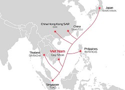 Tuyến cáp quang biển mới ADC có băng thông lớn gấp 3 lần APG