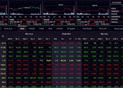 Chuyên gia: VN-Index có thể hồi phục trở lại