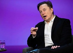 Elon Musk thành lập 3 công ty mới