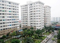 Giá nhà cao gấp 20 lần thu nhập trung bình, HoREA "hiến" loạt kế sách tháo gỡ