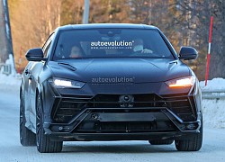 Lộ diện Lamborghini Urus Performante sẽ ra mắt ngay năm nay: Hầm hố hơn, sức mạnh có thể chạm ngưỡng 700 mã lực