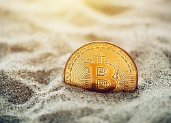 Những Bitcoin 'thất lạc' sẽ đi về đâu?