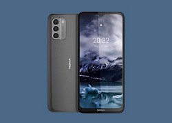 Nokia G21 và Nokia G11 đã hạ cánh tại Việt Nam, pin cực "trâu", giá từ 3,89 triệu đồng