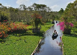 Trà Sư - bảng màu rực rỡ của thiên nhiên