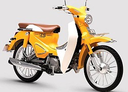 Xuất hiện xe Trung Quốc 'nhái' kiểu dáng Honda Super Cub, giá 24 triệu đồng