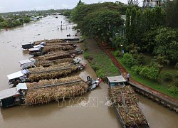 Đa dạng nguồn năng lượng: Thúc đẩy điện sinh khối