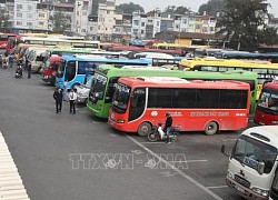 Đề xuất giảm thuế cho doanh nghiệp vận tải trước áp lực tăng giá xăng, dầu