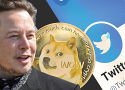 DogeCoin tăng mạnh sau khi Elon Musk sở hữu Twitter