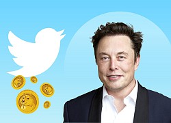 Elon Musk mua Twitter: Từ trò đùa đến thương vụ 44 tỷ USD