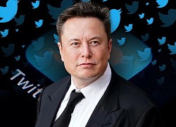 Loại tiền số tăng 115.000% sau khi Elon Musk mua Twitter