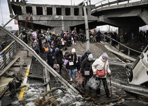 UNHCR cảnh báo người tị nạn Ukraine đối mặt với nguy cơ bị tấn công tình dục