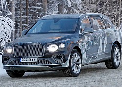 Bentley Bentayga trục cơ sở kéo dài chuẩn bị được ra mắt?