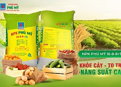 Giá phân bón hôm nay 3/5: Tiếp tục đi ngang