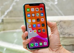 iPhone 11 giảm còn dưới 12 triệu, lựa chọn "béo bở" nhất lúc này