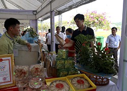 Hàng trăm gian hàng nông sản giới thiệu tại Festival trái cây và sản phẩm OCOP năm 2022