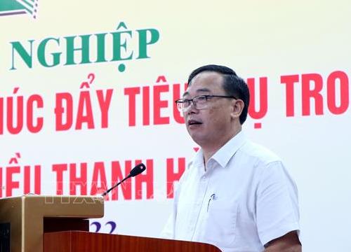 Thúc đẩy tiêu thụ, xuất khẩu vải thiều Thanh Hà