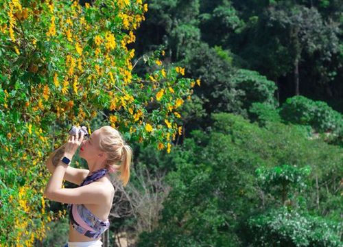 Cao nguyên Di Linh hoang sơ, đẹp quên lối về thu hút giới trẻ